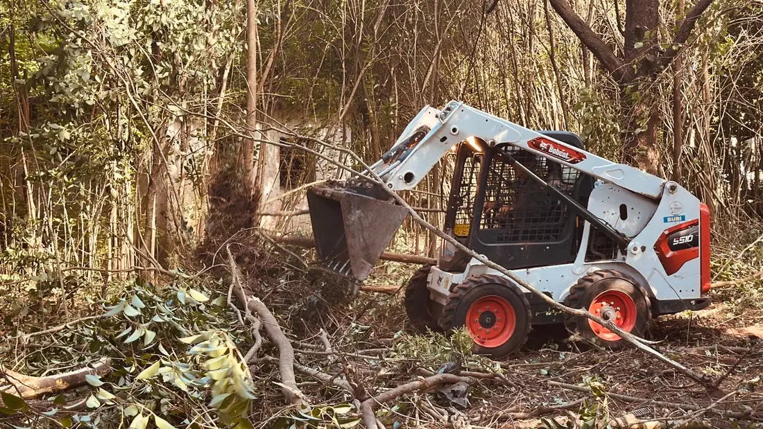 Bobcat despejando monte y ramas