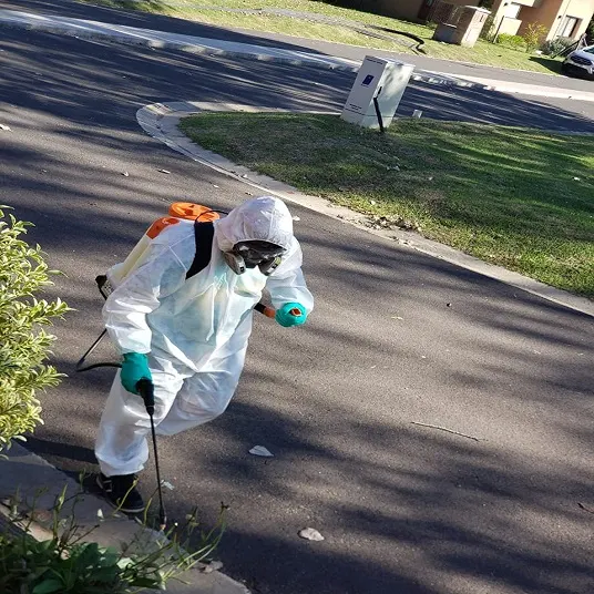 Fumigación